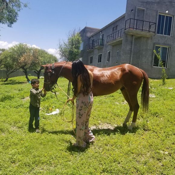 Meet your Posher, Alejandra - Picture 1 of 1